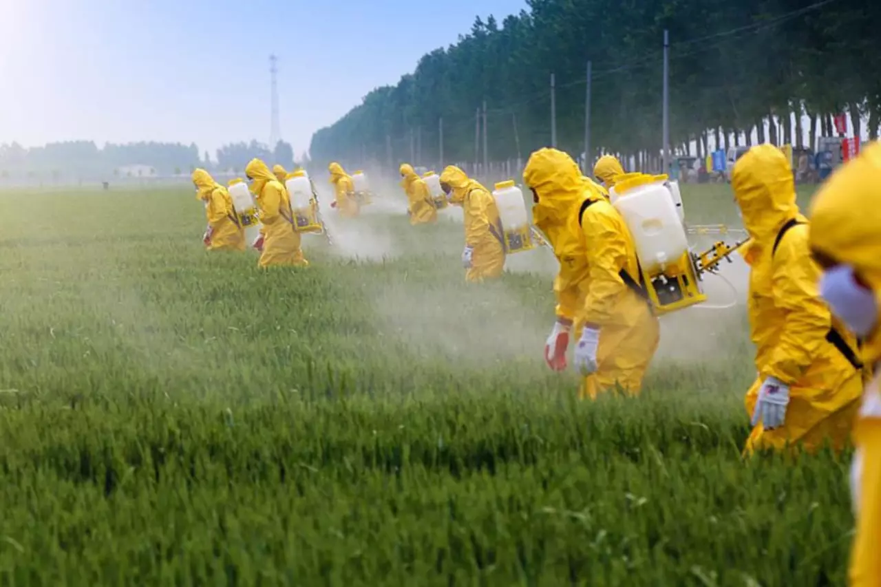 Curso NR 31 – CIPATR (Comissão Interna de Prevenção de Acidentes em Trabalhos Rurais)